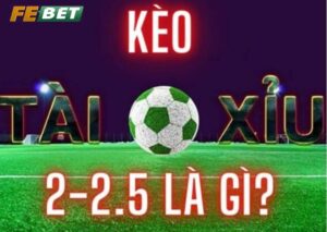 Kèo Chấp 2 1/4 hấp dẫn