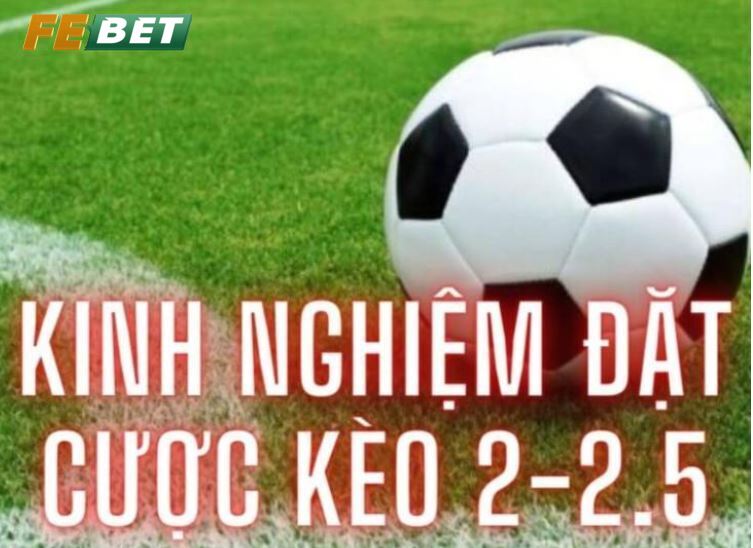 Kinh nghiệm chơi kèo 2 1/4 Febet